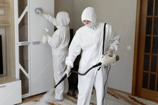 Best Toxic Mold Removal  in South Portland, ME